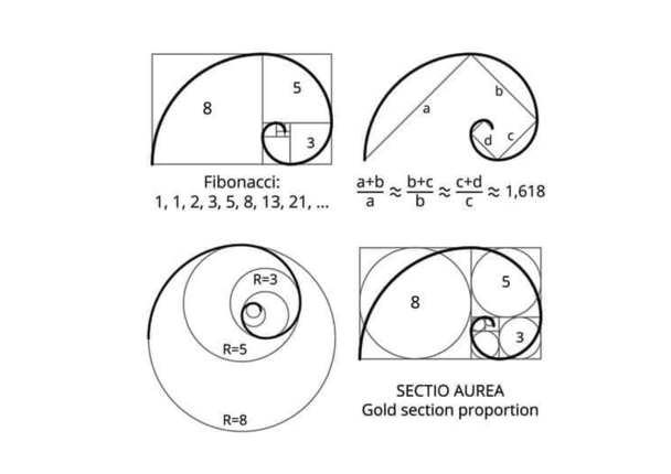 將黃金比例應(yīng)用于標(biāo)志設(shè)計.png