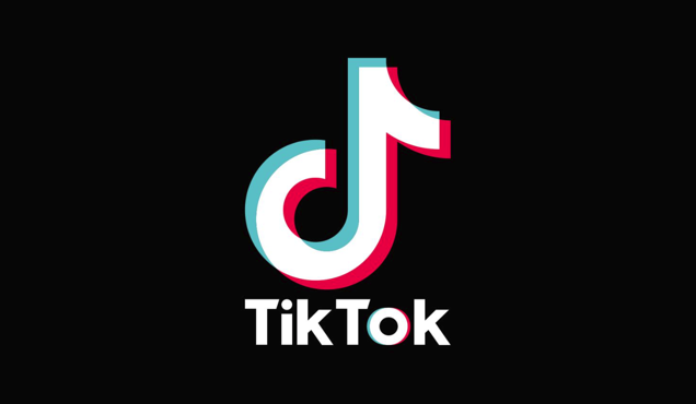 TikTok 標(biāo)志的設(shè)計(jì)元素.png